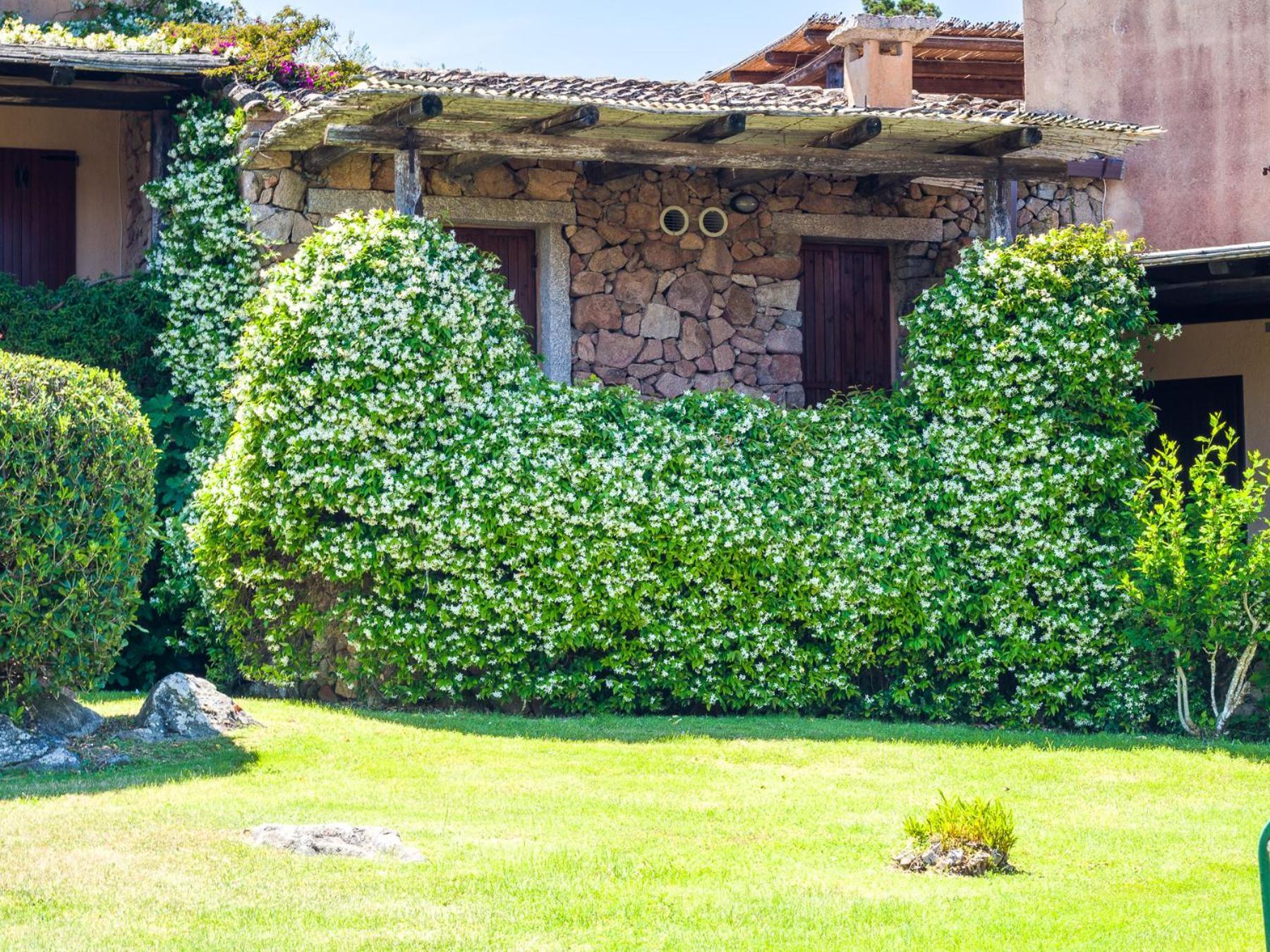 Caletta 10 - Klodge Porto Rotondo Bagian luar foto